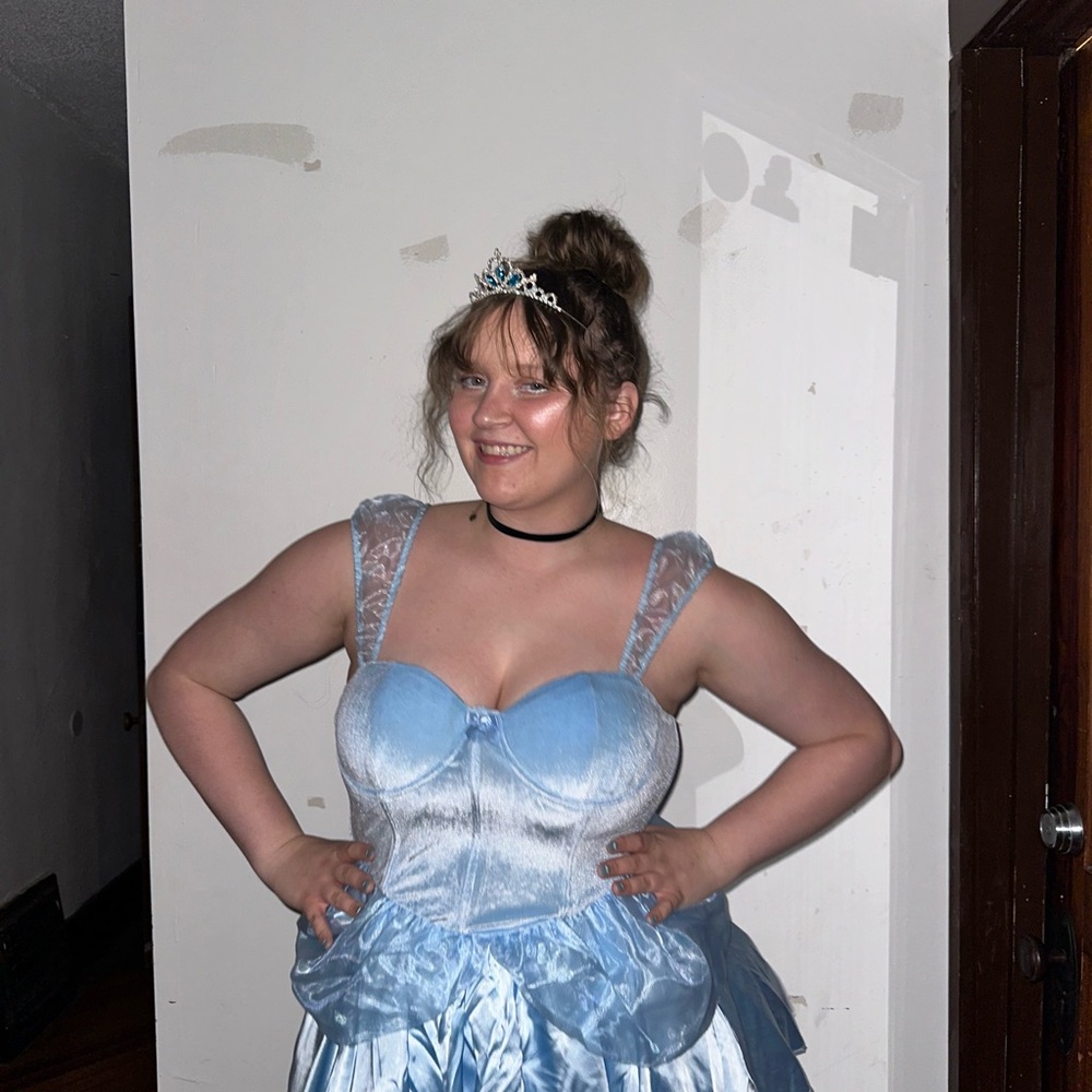 Adult Cinderella costume